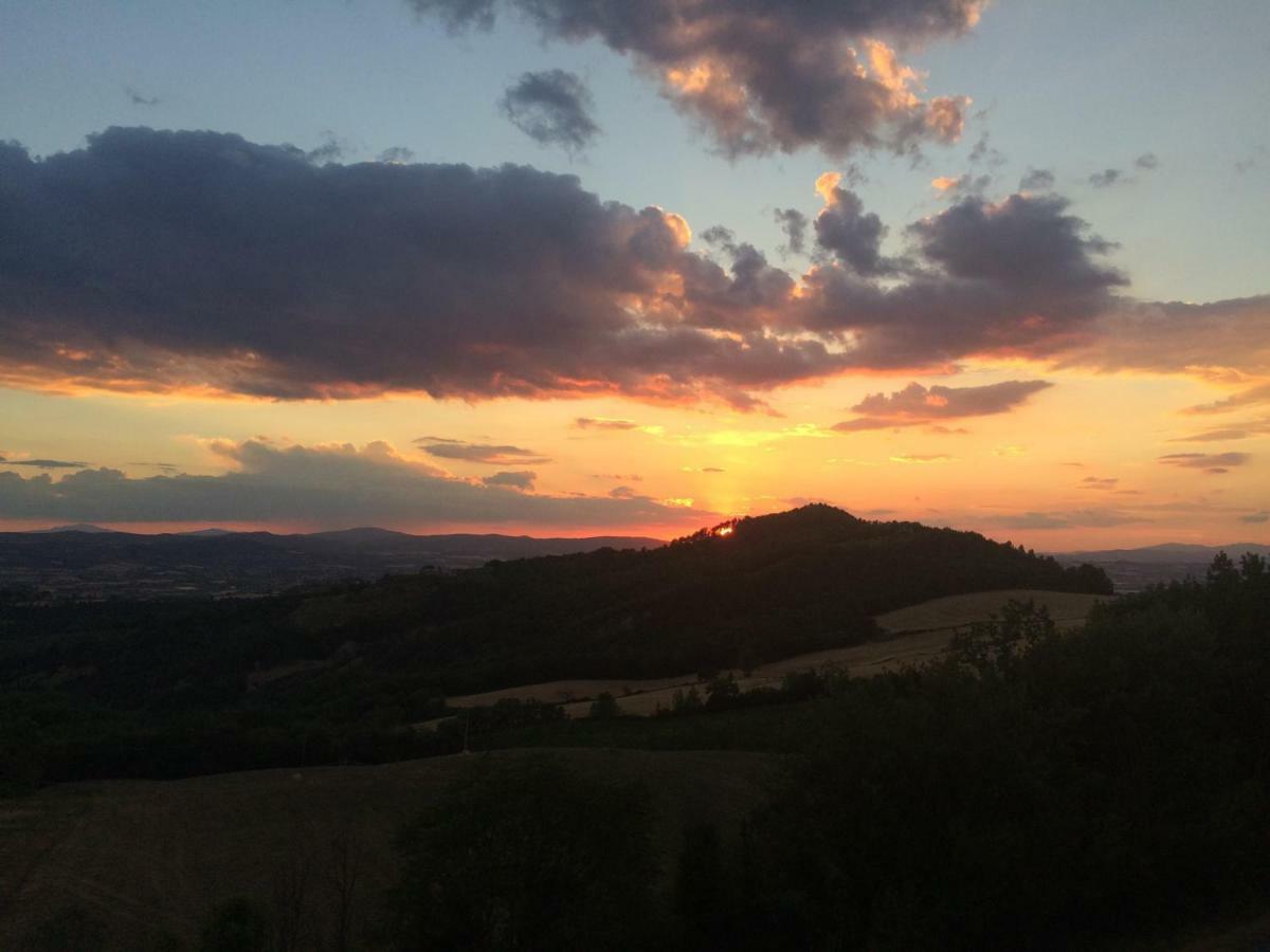Umbria, "Casa Sagrantina" Con Piscina E Pergolato Apartment Collazzone Exterior foto